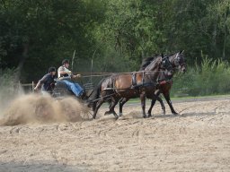 DSC_9193_web
